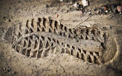 How to be Successful Online: Start by Creating Your Digital Brand